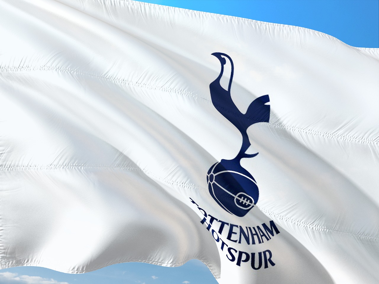 Tottenham Hotspur - Flag